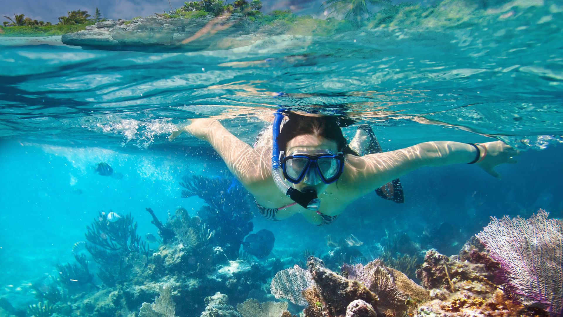 Snorkeling Private Boat Nusa Penida
