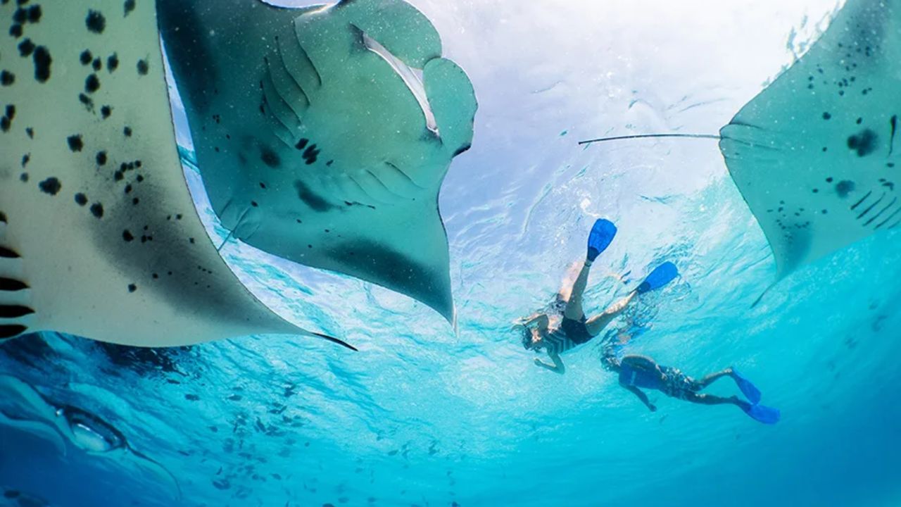 Manta Point Nusa Penida